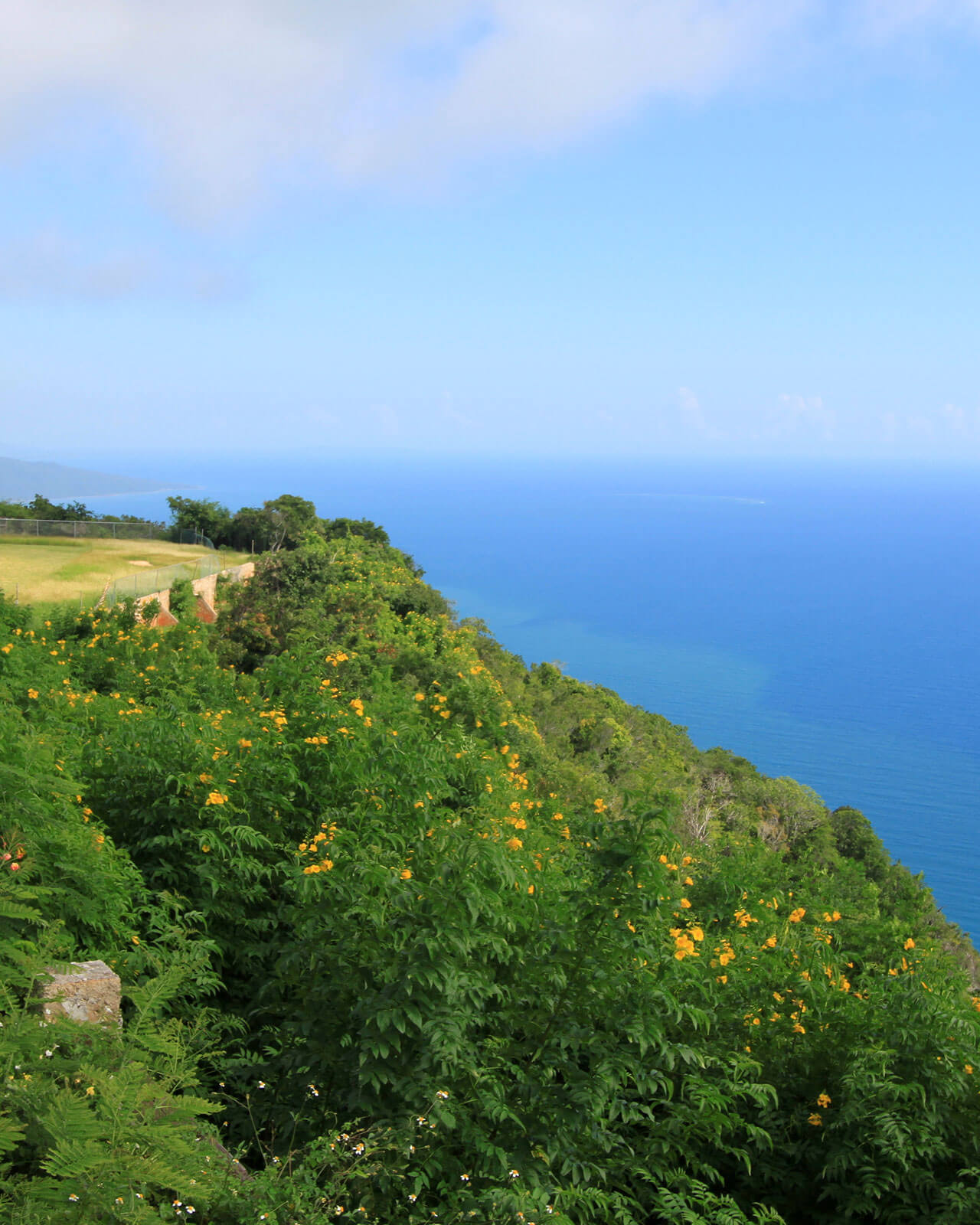 nurkowanie na jamajce